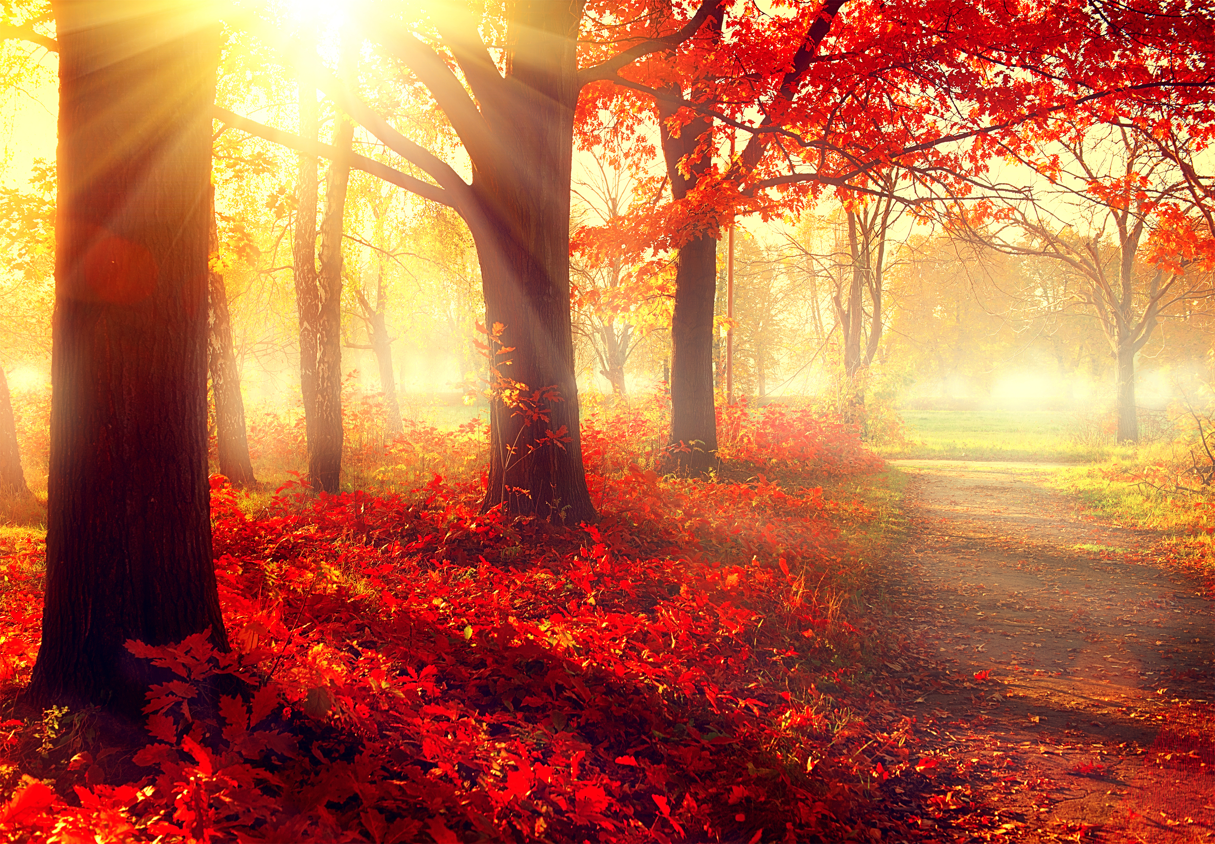 free clipart autumn scenes - photo #30